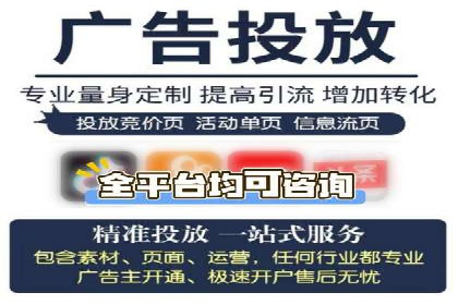 大型企业SEM外包实战案例